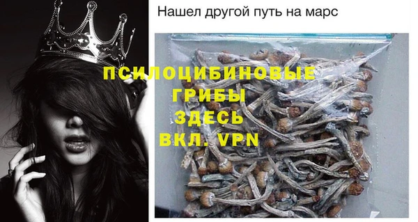 прущий лед Краснослободск
