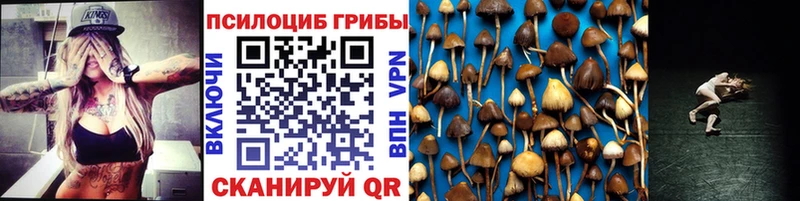 Купить  Бобров  Галлюциногенные грибы мицелий 